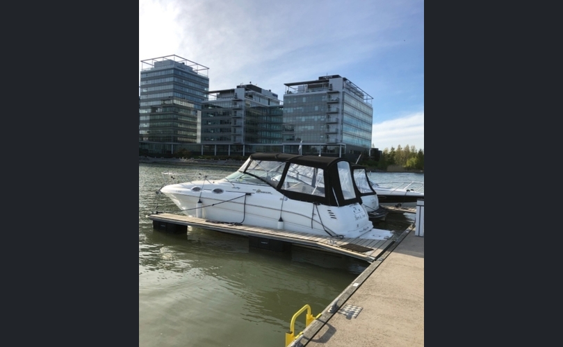 Sea Ray Sundancer 260-kuva-10